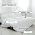 thumbnail image 2 of PupSheets Hair Resistant, Antimicrobial & Cooling Duvet Cover and Sham Set, 2 of 9