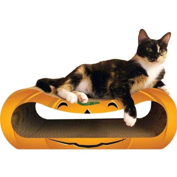 Shape Pumpkin Combo Squished