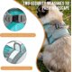 thumbnail image 5 of Arnés y correa para gatos sin cuello, chaleco ajustable a prueba de escapes para gatos Chaqueta para caminar para gatos con arnés de malla de aire (hy), 5 of 5