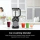 thumbnail image 4 of Sistema de cocina compacto Ninja AMZ493BRN con Auto-iQ 1200 vatios negro/gris, 4 of 5