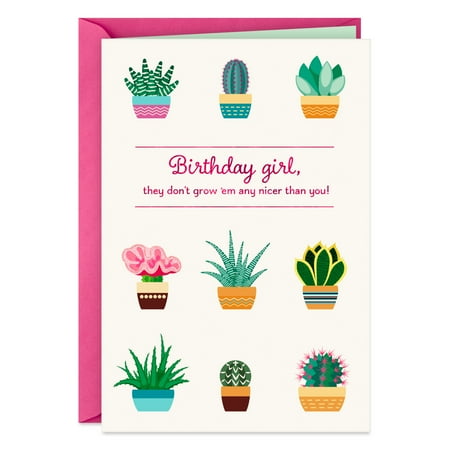 Hallmark Sentimental Studios A Hmk Co. Birthday Card - Succulent Plants
