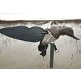 thumbnail image 4 of MOJO TEAL DECOY W/SUPPORT POLE, 4 of 4