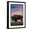 Black Frame, variant on Art.com Catalina Island, California - Bison and Sunset Art Print by Lantern Press, White Frame Wall Art, 21" x 29"