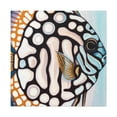 thumbnail image 4 of "Discus in Motion Deco" - Canvas, 4 of 25