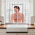 thumbnail image 2 of Ambesonne Science Kitchen Curtains, Anatomy Body Lungs Scheme, 55"x39", Blush White and Blue, 2 of 3