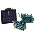 thumbnail image 1 of Novelty Lights 50 Light Solar Powered LED Outdoor Mini Light String, 12.5 Feet on Green Wire, Warm White 5mm Bulbs, Automatic Dusk to Dawn Operation, 1 of 7
