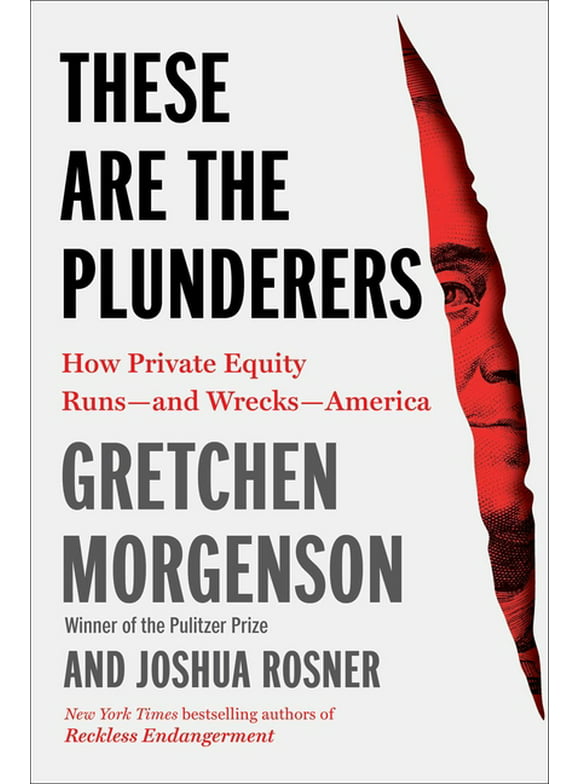 These Are the Plunderers : How Private Equity Runsand WrecksAmerica (Hardcover)