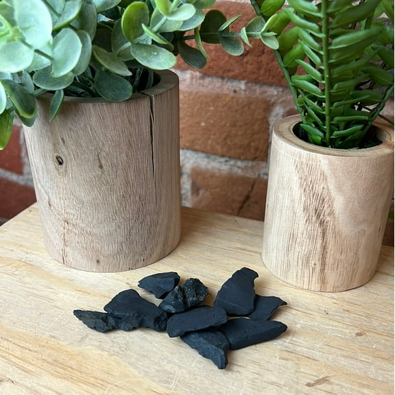 Shungite Rough Stones 1.5" - Ethically Sourced Crystals