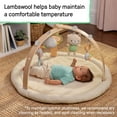 thumbnail image 5 of Ingenuity Every Season Plush Lambswool Baby Play Gym and Play Mat, 0+ Months - Natural, 5 of 16