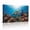 A, variant on XaaKee Sea Turtle Azure Gradient Art Prints Deep Blue Ocean Canvas Prints Wall Art Inner Framed 18*12Inch