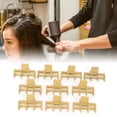 thumbnail image 4 of Clips de Garra de Rizadores de Cabello, Clips de Rodillos Calientes de PlásTico Resistente Profesional A Alta Temperatura para El Cabello Largo para El Cabello Permanente, 4 of 7