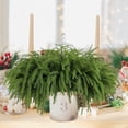 thumbnail image 5 of 5 Piece 18inch Christmas Norfolk Pine Branches Pine Stems for Xmas DIY Crafts Garland Wreath- Christmas Deco, 5 of 9
