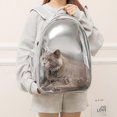 thumbnail image 3 of Breathable Backpack for Cats and Dogs Portable Outdoor Pet Cat Panoramic Transparent Breathable Backpack Pet Backpack, 3 of 5