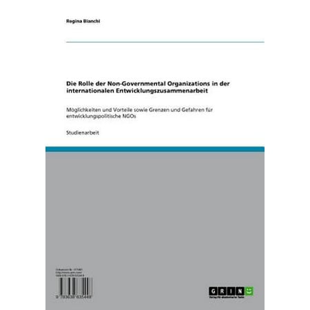 Die Rolle der Non-Governmental Organizations in der internationalen Entwicklungszusammenarbeit -