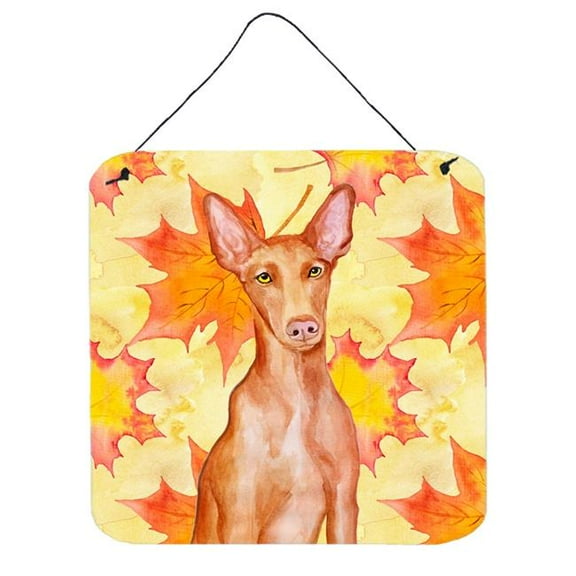 Pharaoh Hound Fall Wall or Door Hanging Prints, 6 x 6 in.