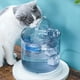 thumbnail image 5 of 8 Piezas Elementos Filtrantes de Repuesto para Fuente de Agua para Gatos Filtro de CarbóN Activado para Perros Gatos Bebedero para Mascotas Filtro Alimentador, 5 of 7