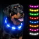 thumbnail image 1 of Collar luminoso para perro, collar fluorescente LED recargable, 8 colores, collar de seguridad ajustable de 3 modos para perros pequeños, grandes y medianos, azul, 1 of 5