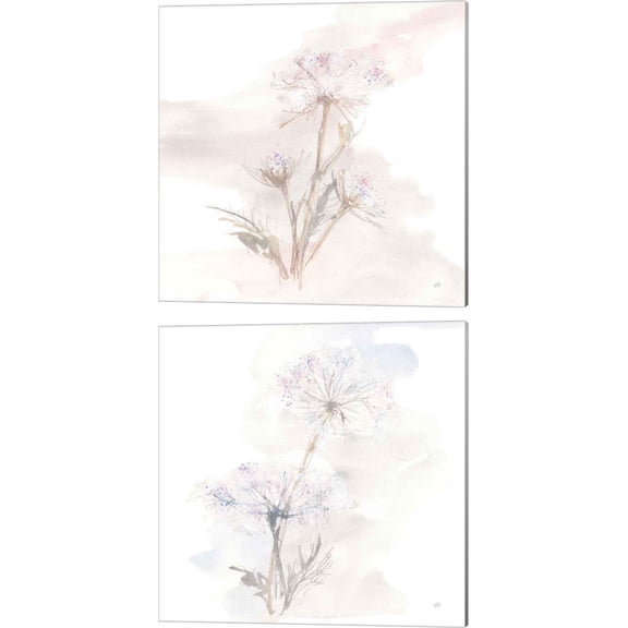 Great Art Now Queen Annes Lace A by Chris Paschke 2 Piece Canvas Art Set Each 14"W x 14"H