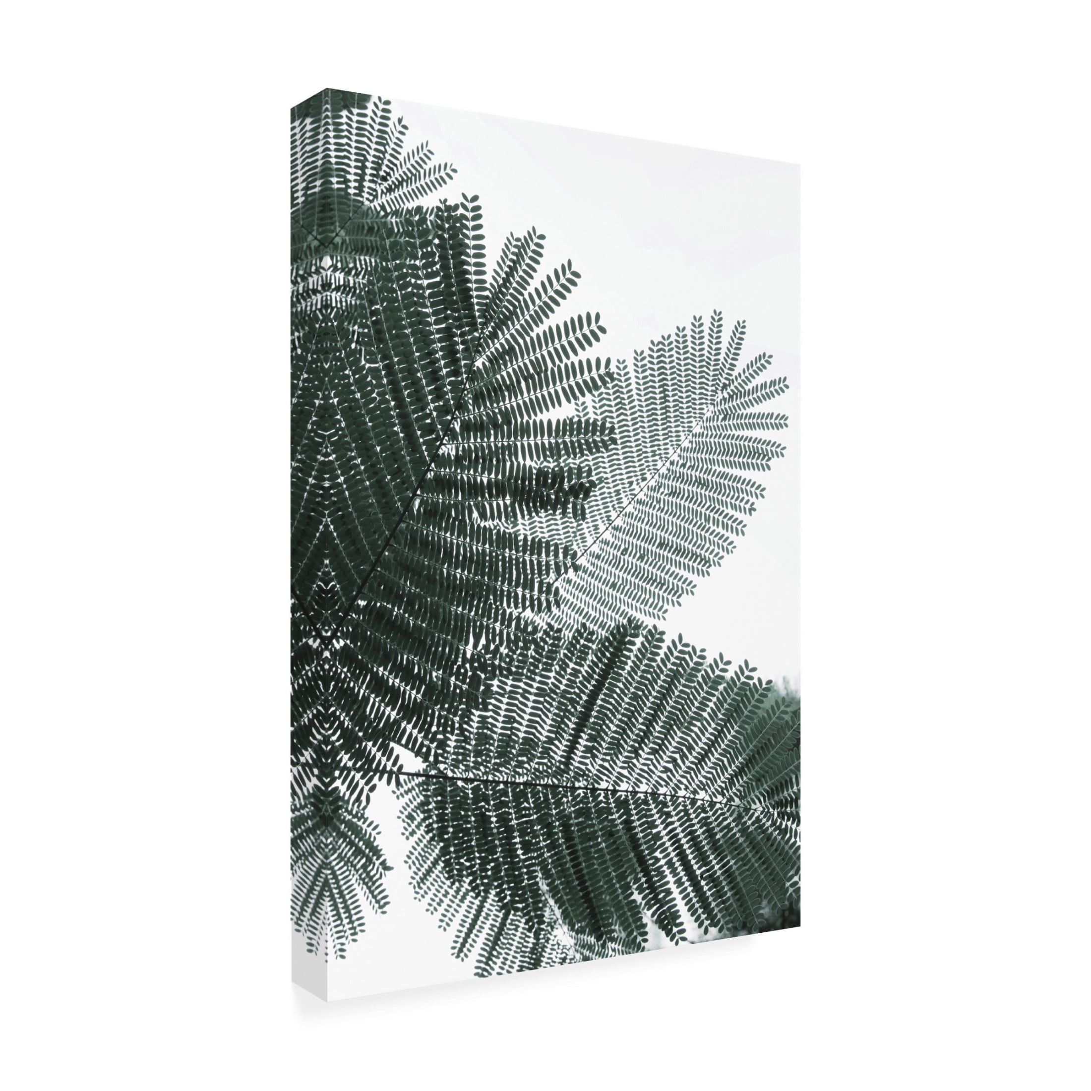 Trademark Fine Art Shot by Clint My Mint Moment 22 Canvas Wall Art