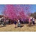thumbnail image 2 of Gender Reveal Confetti Cannons, Pink, 2 Pack, 2 of 3