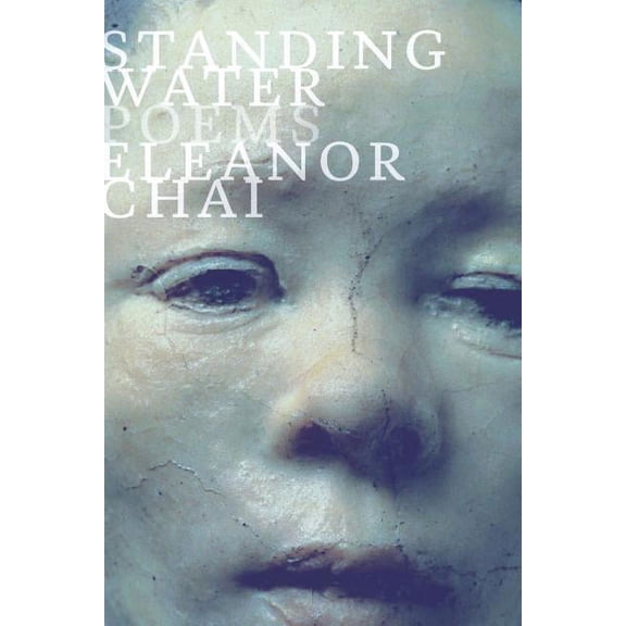 Standing Water : Poems (Hardcover)