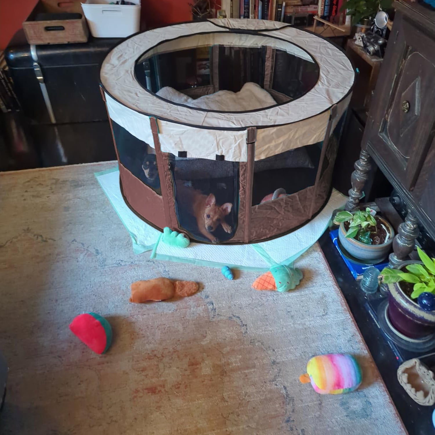 Large Pet Playpen Cat Playpen Dog Playpen Puppy Playpen Indooor Cat Cage Dog Fence, Dinosam 29" Diameter 16" Height Cat Tent Playpen for Indoor Cats Pen for Cat Puppy Rabbit