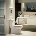 thumbnail image 5 of American Standard Boulevard FloWise One-Piece 1.28 gpf Elongated Toilet with Concealed Trap-Way in White, 5 of 5