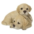 thumbnail image 2 of BABY LABRADORS PLAYING, 2 of 4