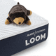 thumbnail image 3 of Colchón Spring Air Individual Loom | Memory Foam De Alta Densidad | Sleep Fitness | Firmeza Media | Funda Hipoalergénica Air Cover | Soporte Ergonómico, 3 of 8