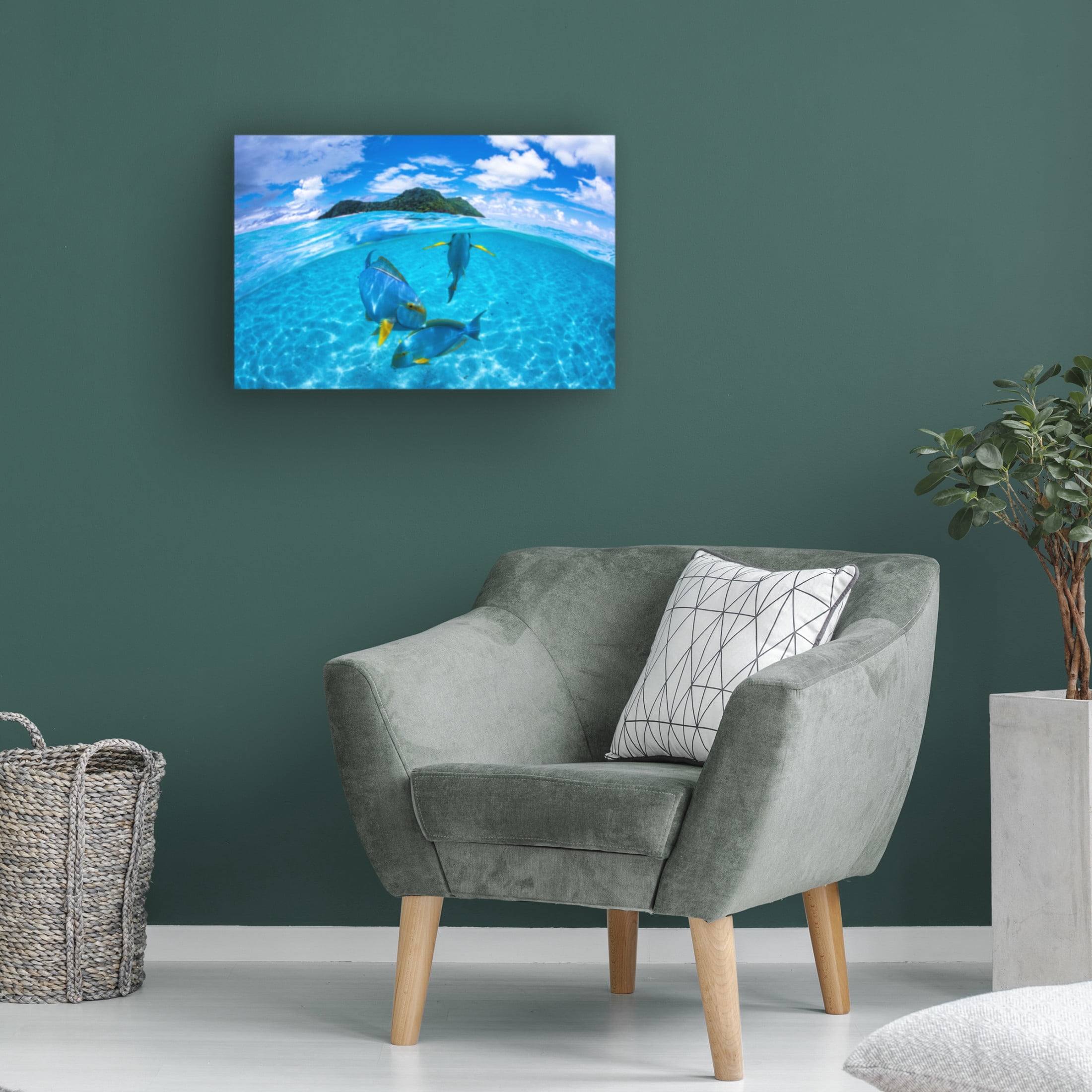 Trademark Fine Art Barathieu Gabriel Surgeon Fish Trio Canvas Wall Art