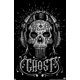 thumbnail image 1 of Trends International Call of Duty: Modern Warfare 2 - Póster de pared de Calavera fantasma, versión sin marco, 34 largo x 22,4 ancho, 1 of 1