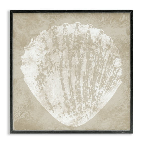 Stupell Industries Rustic Distressed Seashell Nautical & Beach Painting Black Framed Art Print Wall Art, 12 x 12