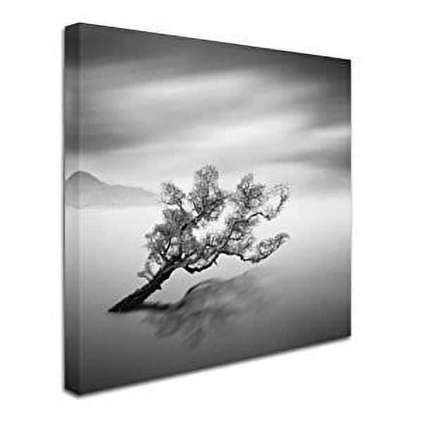 "Water Tree VI" Canvas Art by Moises Levy