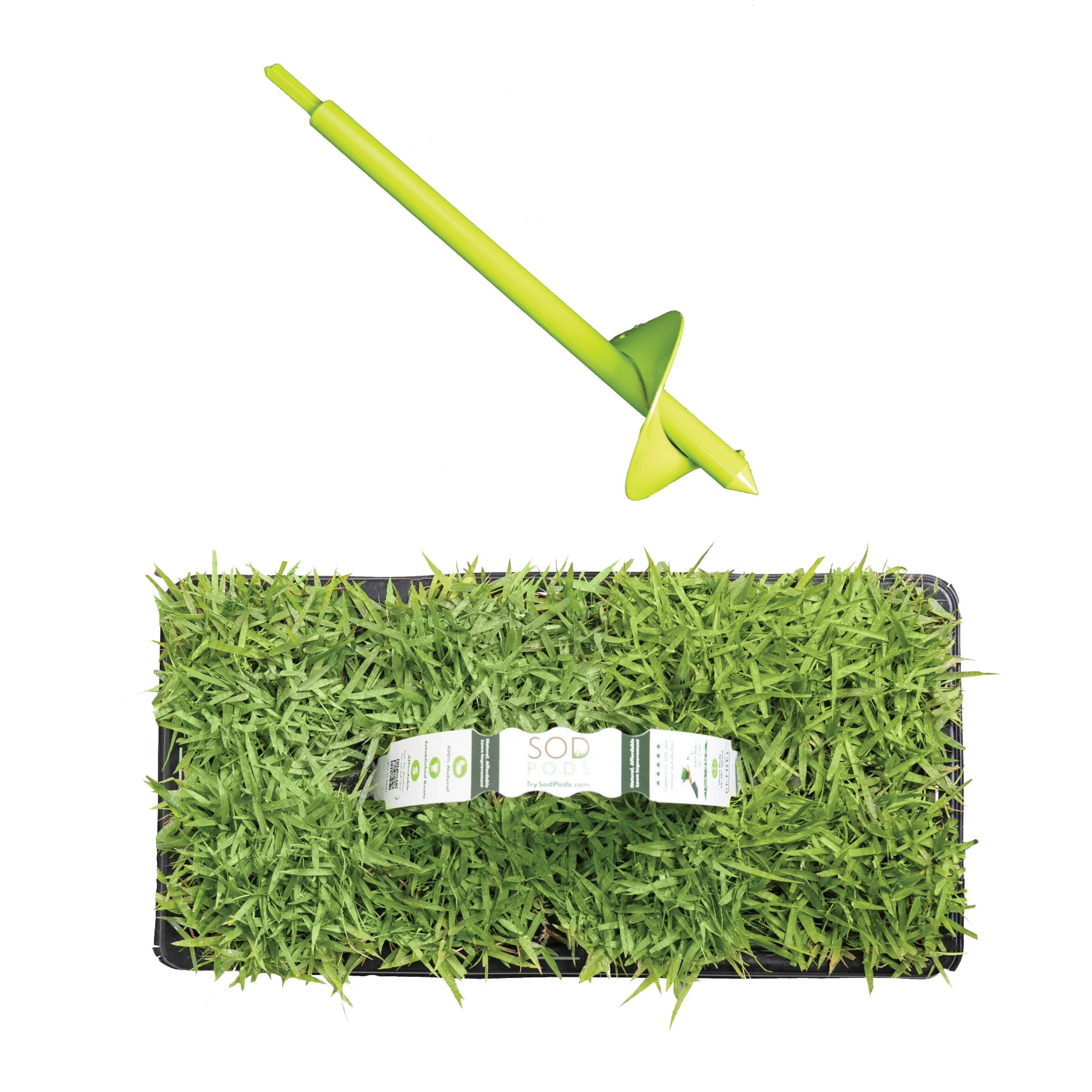 SodPods Zoysia (32-Count)/SP Power Planter Bundle, Natural Affordable Lawn Improvement