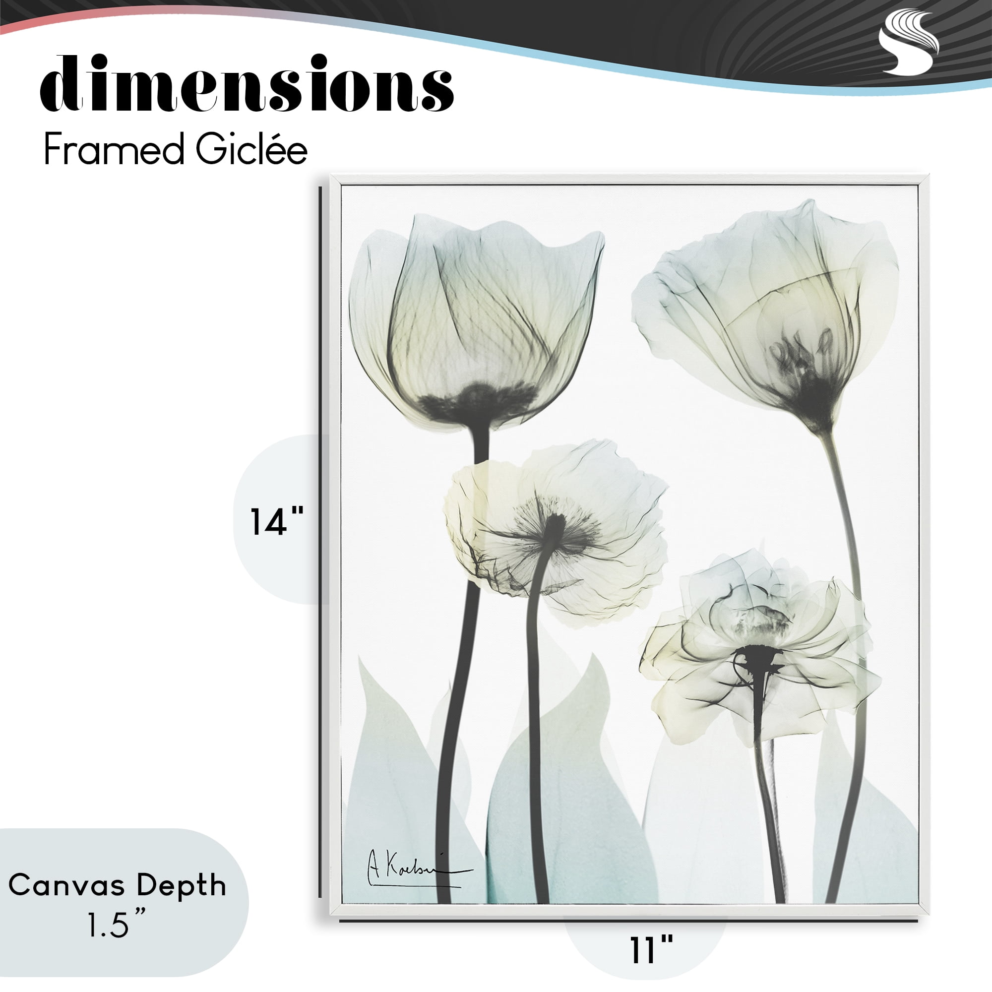 Stupell Industries Floral Luxury Of Creation White Framed Giclee Art, design by Albert Koetsier