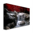 thumbnail image 3 of Trademark Fine Art 16x24 Landscape Canvas Wall Art 'Red Vison' by Philippe Sainte-Laudy, 3 of 3