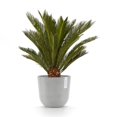 thumbnail image 4 of Ecopots Oslo 9.8" x 8.5" Round White Gray Plastic Modern Flower Plant Pot, 4 of 4