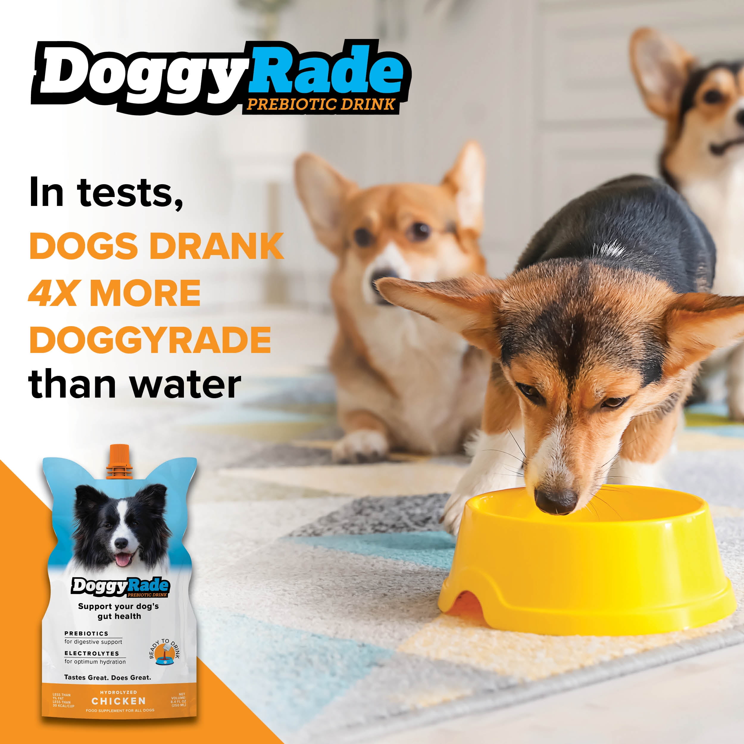 DoggyRade & YummyRade Bundle/Dogs 6 Weeks and Older/Prebiotics Gravy Topper/Digestion & Immune Support/Low-Calorie & Fat
