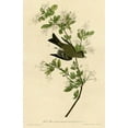 thumbnail image 2 of Vintage Apple Collection 22x32 White Modern Wood Framed Museum Art Print Titled - Wood Pewee, 2 of 4