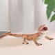 thumbnail image 4 of Simulación Realista Modelo de Animal Sólido Modelos Playset Zulema  Figuras de simulación, 4 of 8