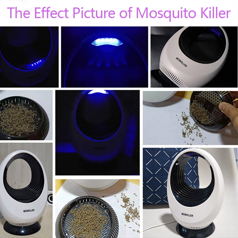 Black Qinmin Indoor Insect Trap with UV Light,Bug,Fruit Fly,Mosquito Killer,Odorless & Noiseless Powerful & Efficient Light Bulbs 