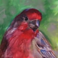 thumbnail image 2 of Smith, Kim 20x20 White Modern Wood Framed Museum Art Print Titled - Field Birds VI, 2 of 4