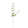 thumbnail image 1 of Artificial Hanging Plant Plastic Leaf Garland Home Wall simulation hanging vine Mounted Fake Plant Vine Simulation Rattan, 1 of 9