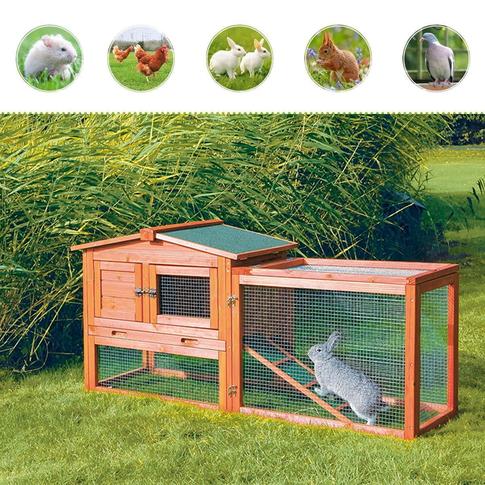 guinea pig garden run