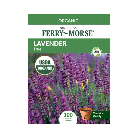 Ferry-Morse Organic 100MG Lavender Perennial Herb Seeds, Full Sun