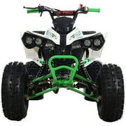 X-Pro Brand New 125cc Gas ATV, Automatic Transmission w/Reverse Electric Start Big 19/18 Tires