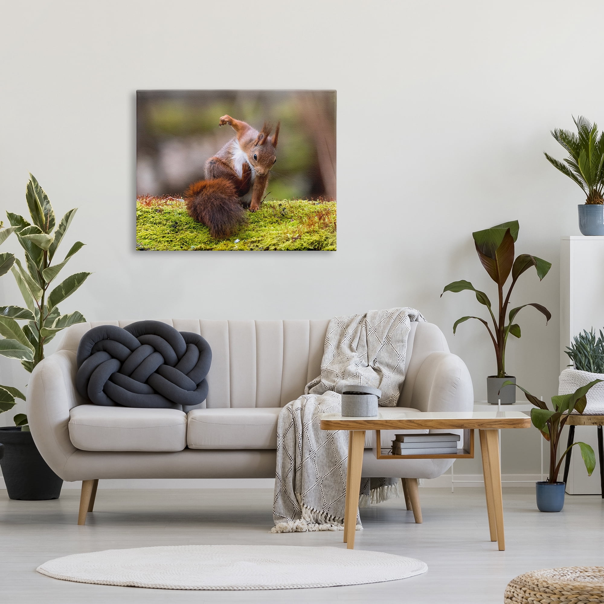 Stupell Industries Squirrel on Mossy Log Animals & Insects Photography Gallery Wrapped Canvas Art Print Wall Art, 40 x 30