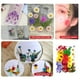 thumbnail image 5 of Billuyoard Conjunto de flores secas para decoración de álbumes de recortes Decoración del hogar Tipo 10 Billuyoard HA062478-10B, 5 of 6