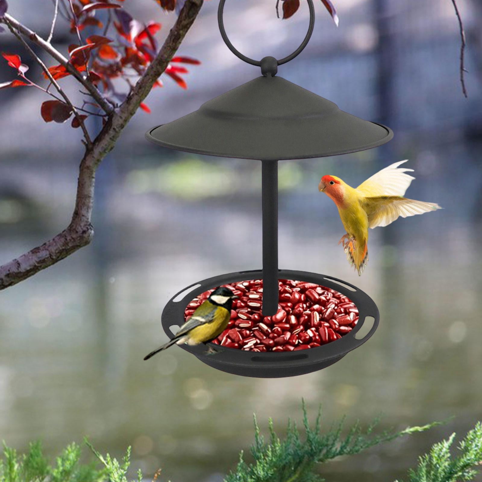 Bvdfgk Hanging Bird Bath Feeding Bowl Sturdy Platform Metal Bird Feeder Yard Parrot