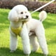 thumbnail image 3 of Chaleco reflectante ajustable para perros pequeños, medianos y grandes con arnés acolchado con clip frontal, 3 of 5